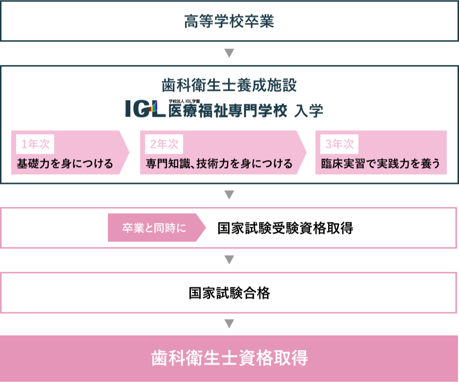 歯科衛生士とは 口腔保健学科 Igl医療福祉専門学校