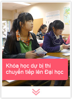 Khóa học dự bị thi chuyển tiếp lên Đại học